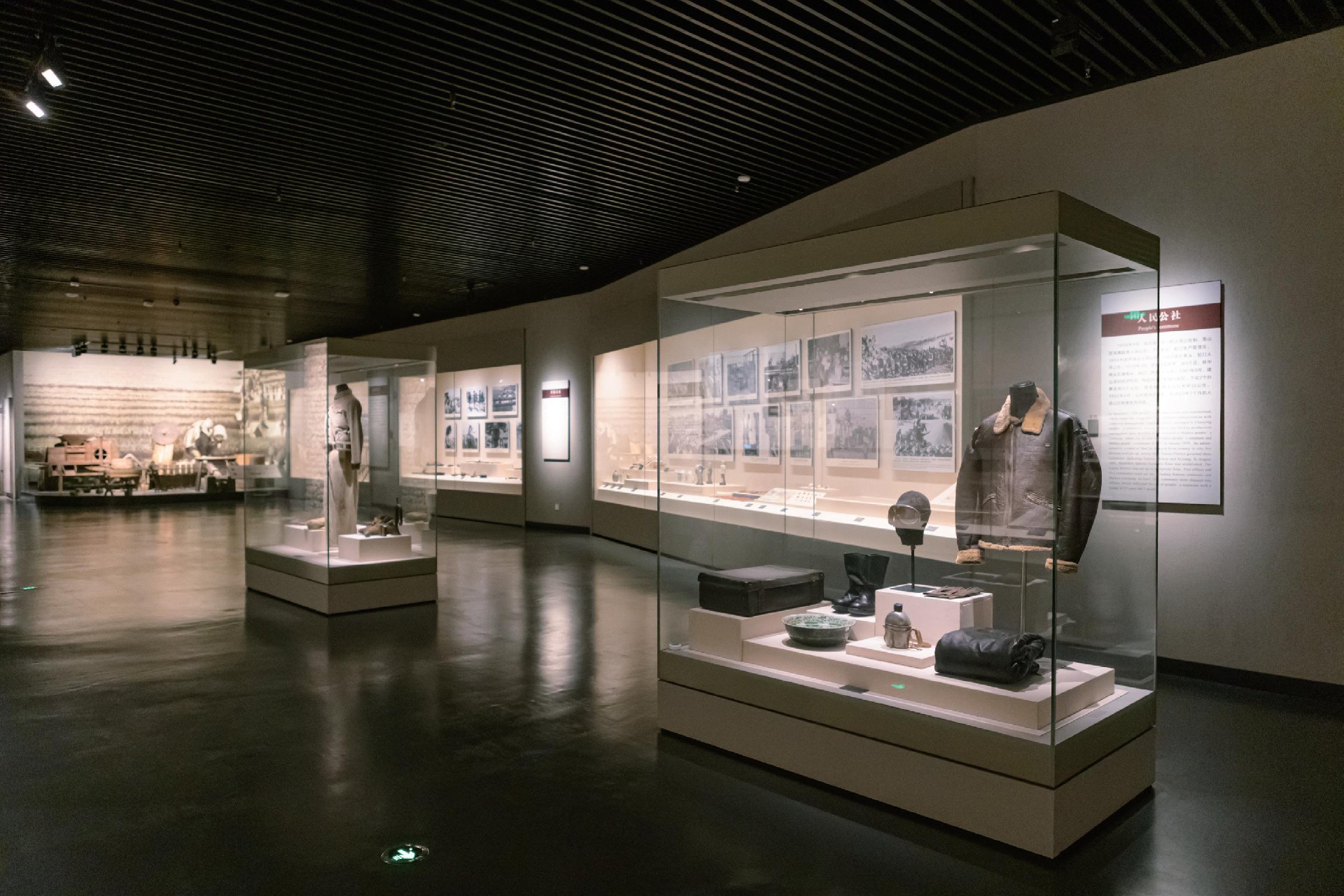 artifact protection in display cases