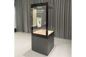 Museum freestanding display cases
