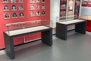 High-Capacity Table Top Display Case