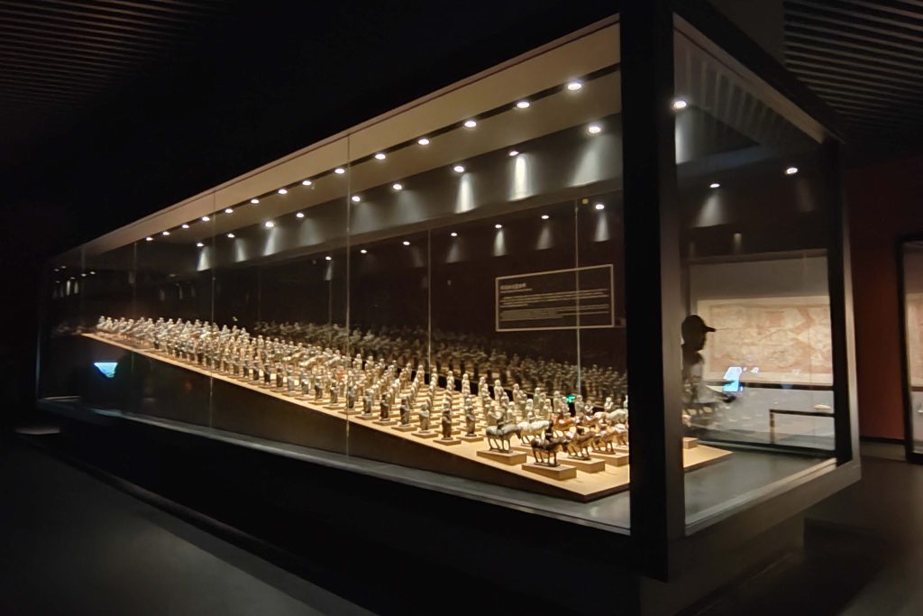 museum display cases