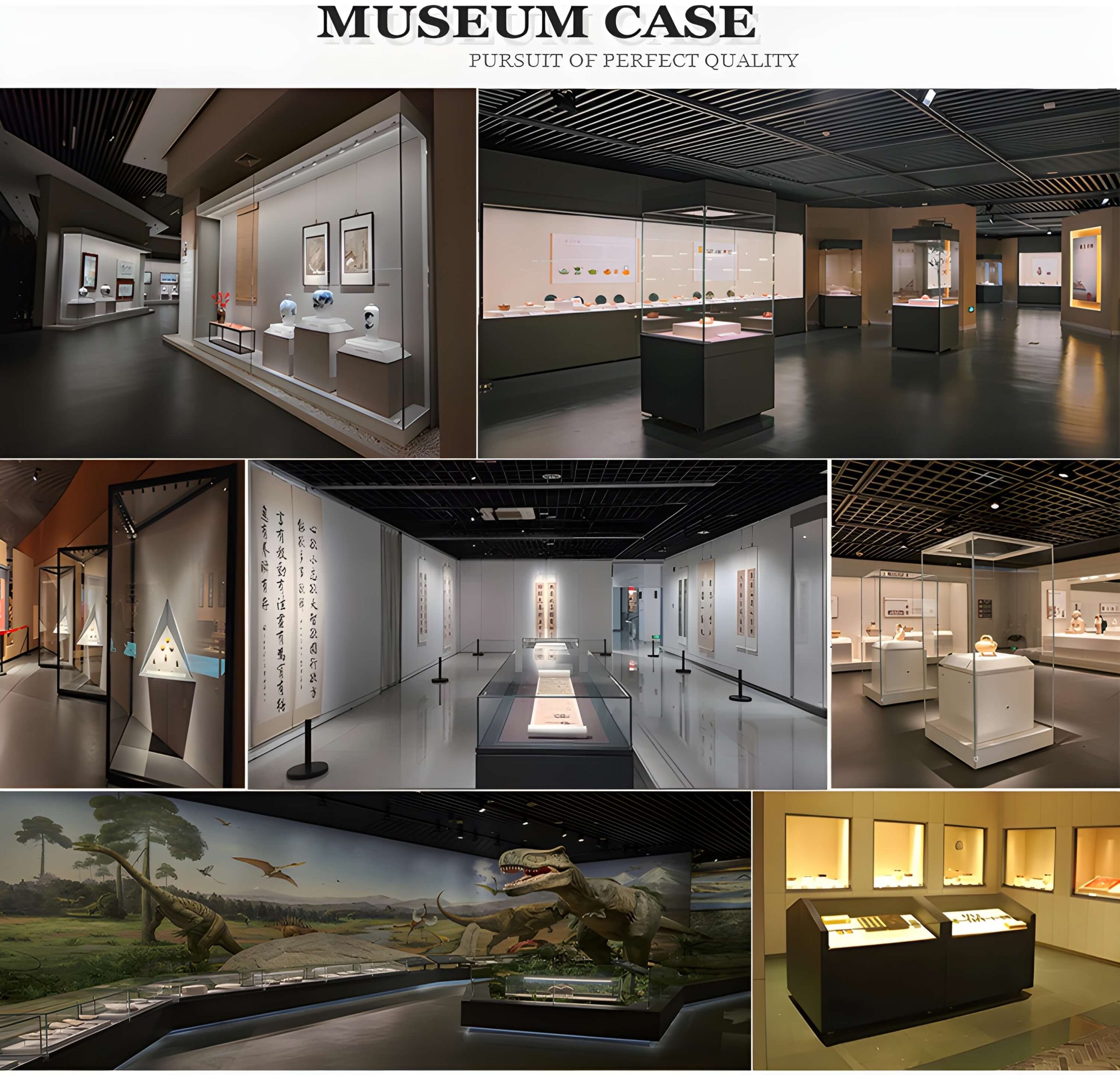 Display Case Examples