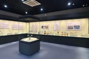 custom museum display cases