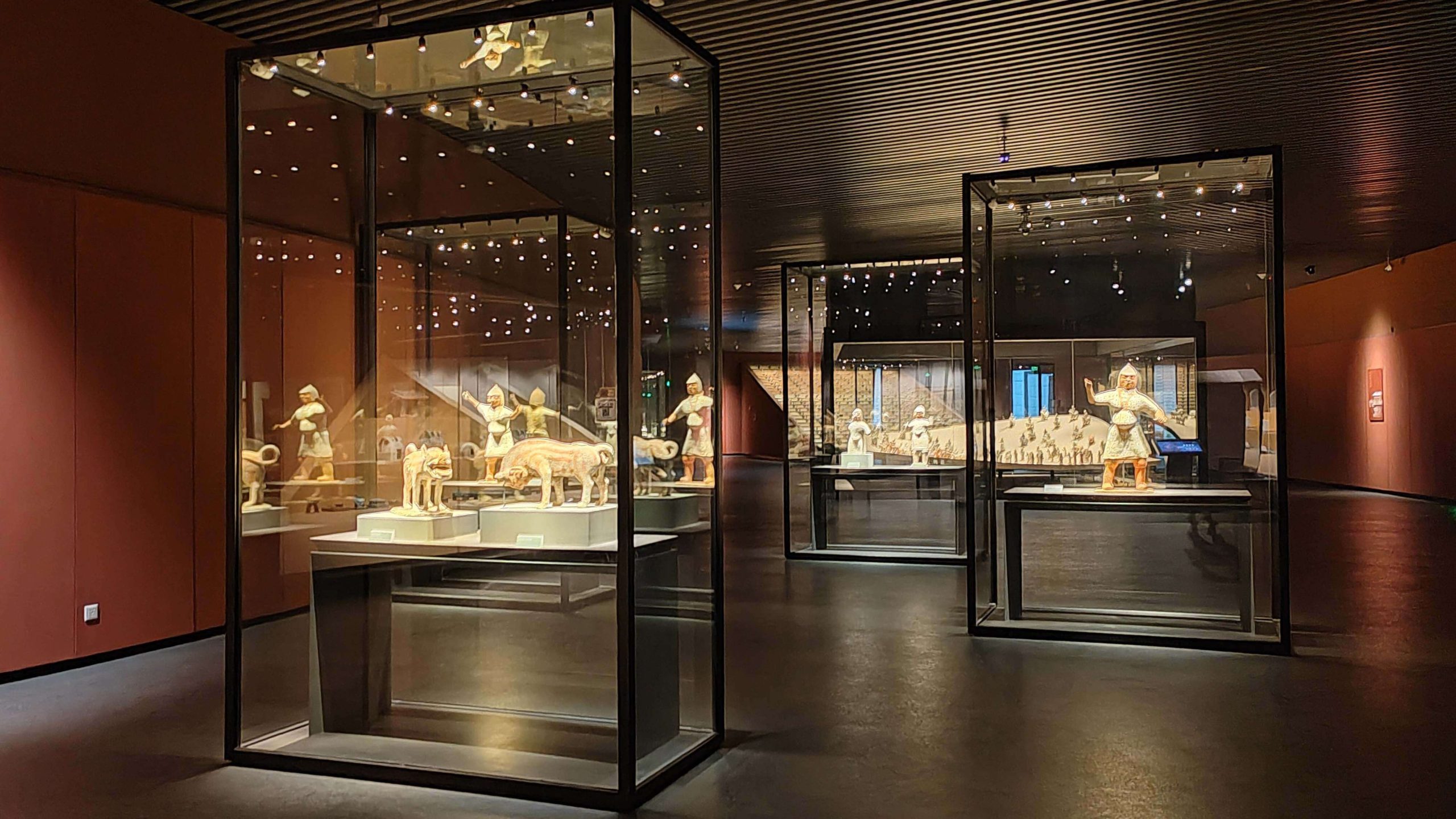 collectors museum display case