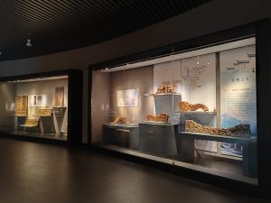 museum display case glass