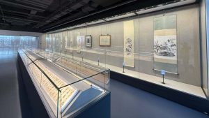 museum display case lighting