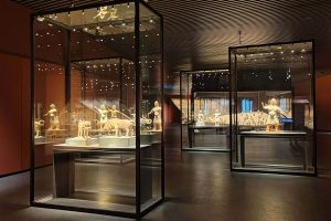 custom vs standard museum display cases