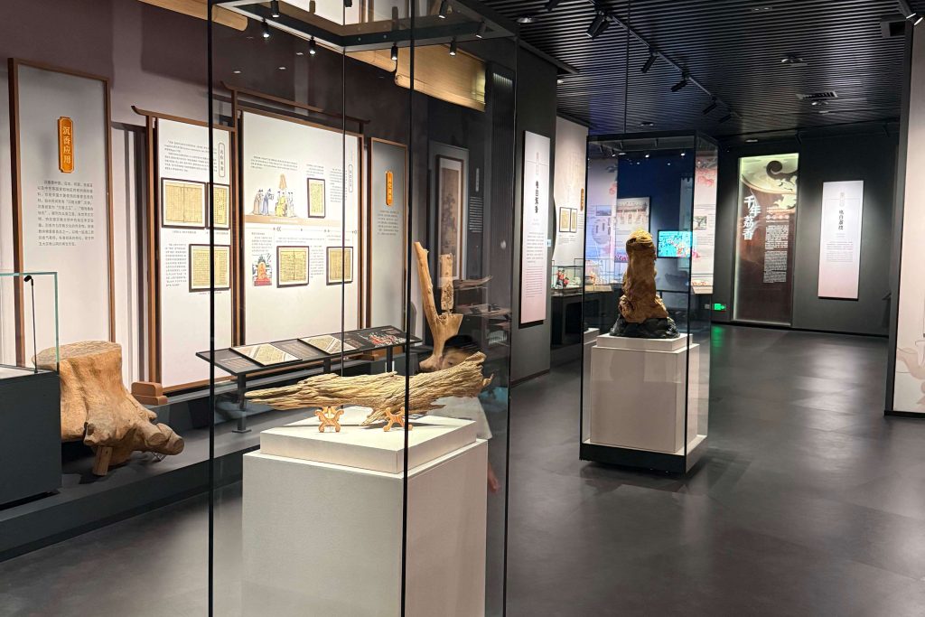 custom museum display cases