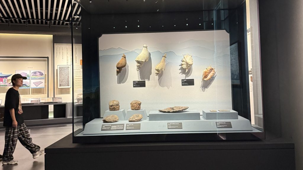 Dianbai Museum Display Case Project