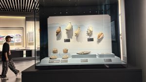 Dianbai Museum Display Case Project