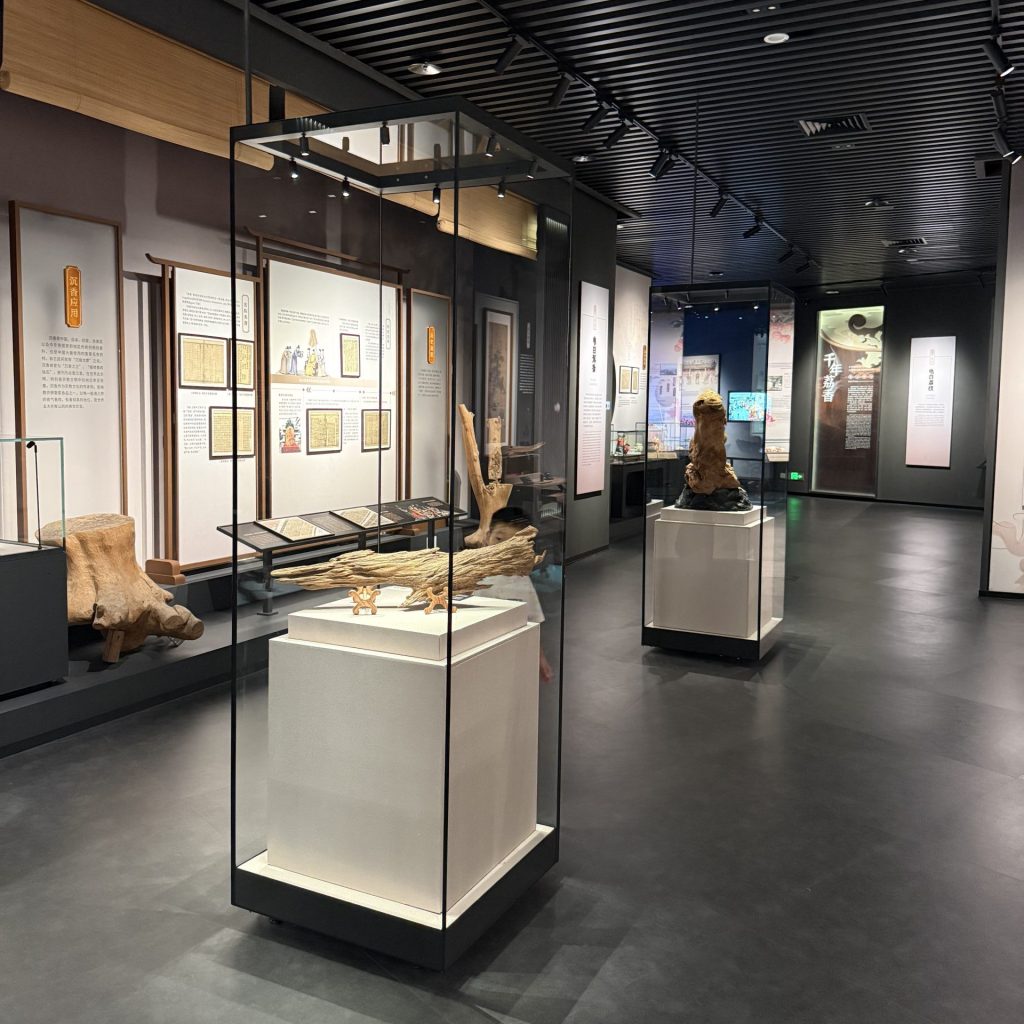 Low-Reflection Glass Display Cases