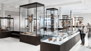 acrylic vs glass museum display cases