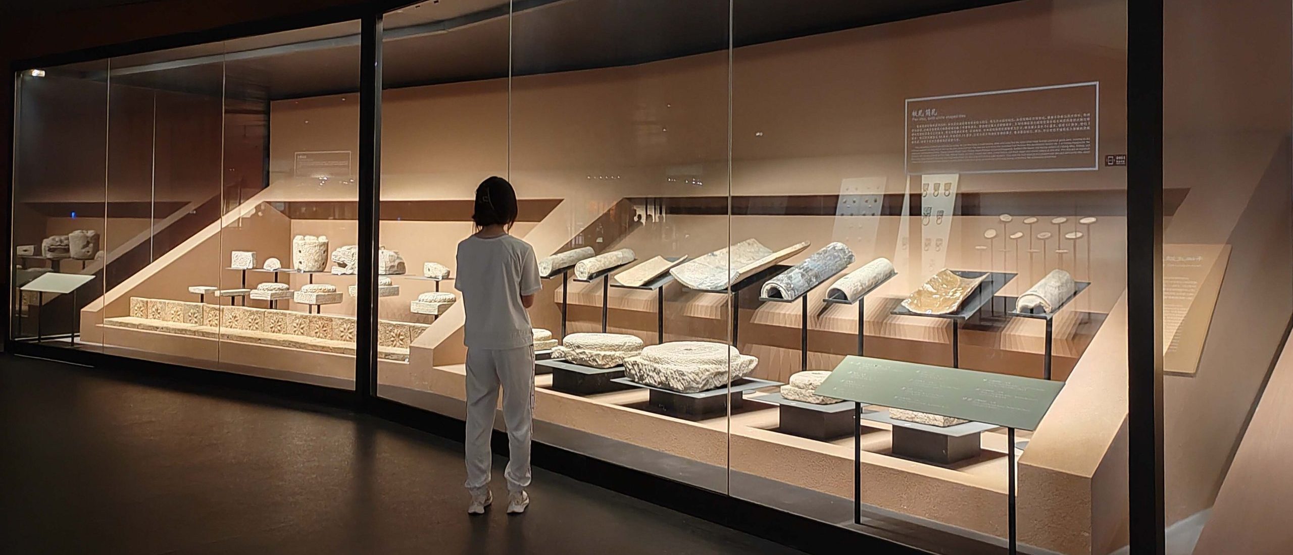 museum display cases artifacts damage reasons