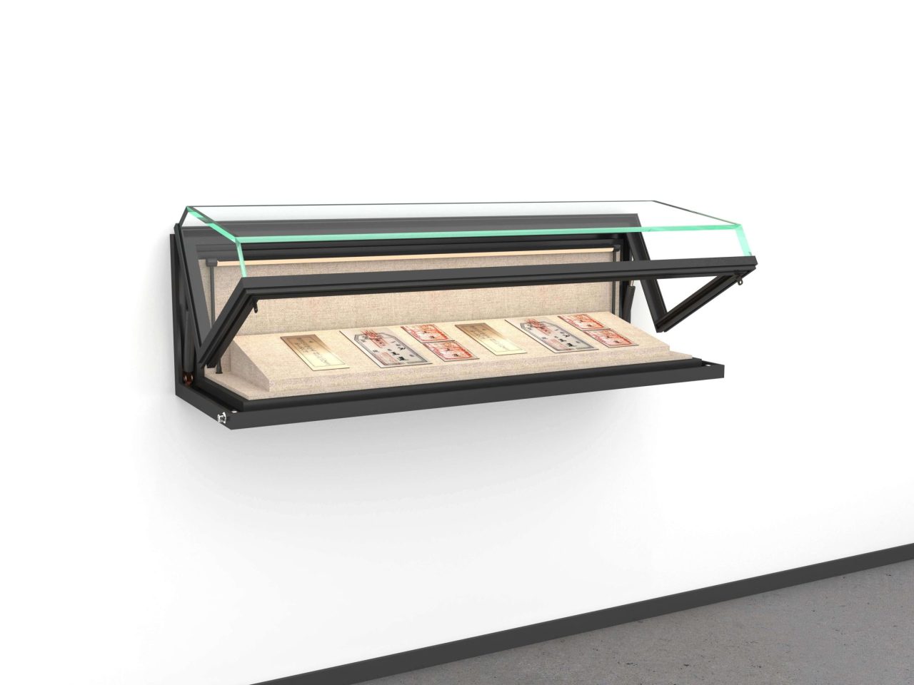 Hanging Display Case