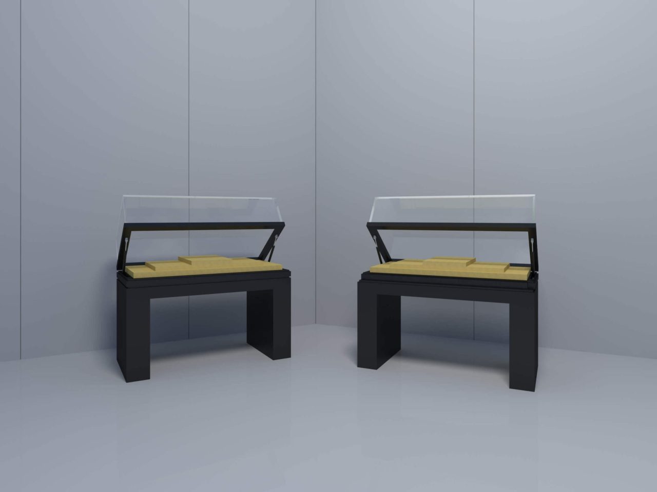 Table Top Display Case